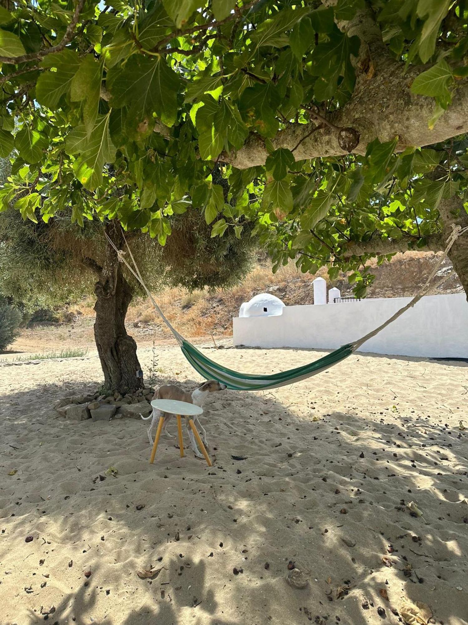 Magnifica Casa A Orillas Del Guadiana Ουέλβα Εξωτερικό φωτογραφία