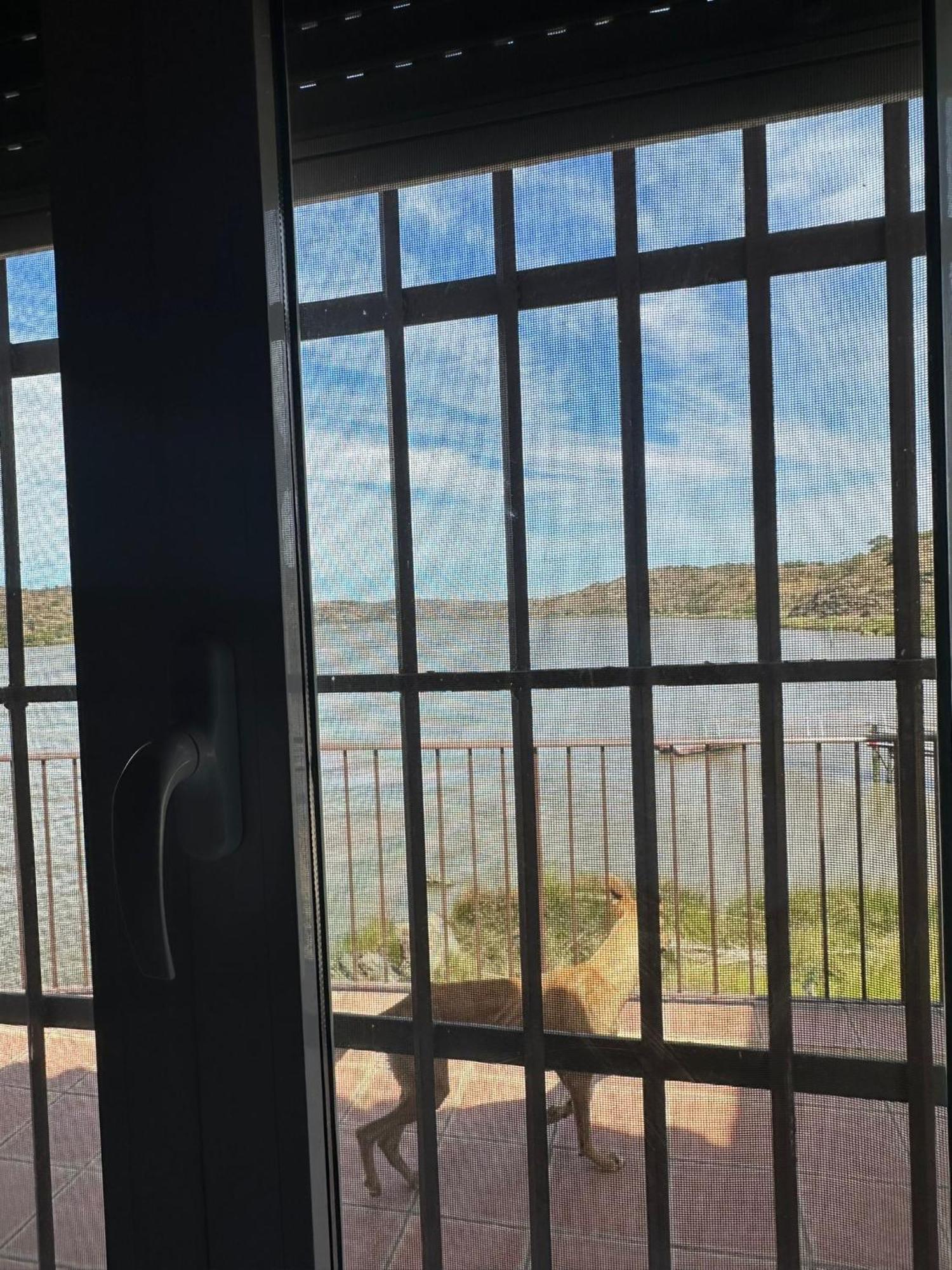 Magnifica Casa A Orillas Del Guadiana Ουέλβα Εξωτερικό φωτογραφία